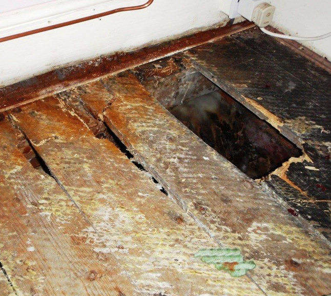 Dry rot Wirral